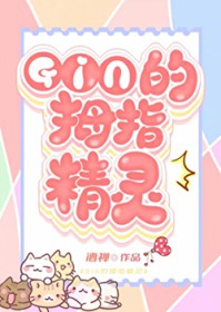 [����] GIN���������˾��Ǽ�������